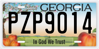 GA license plate PZP9014