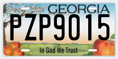 GA license plate PZP9015