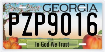 GA license plate PZP9016
