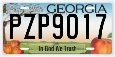 GA license plate PZP9017