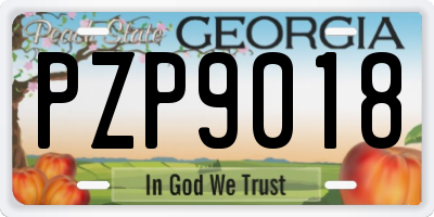 GA license plate PZP9018