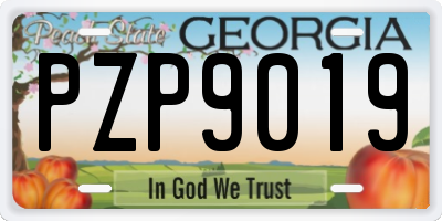 GA license plate PZP9019