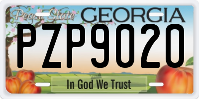 GA license plate PZP9020