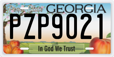 GA license plate PZP9021