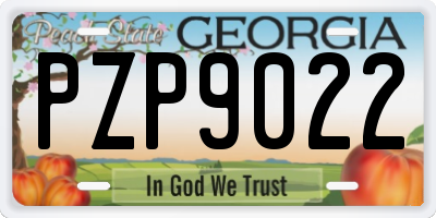 GA license plate PZP9022