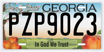 GA license plate PZP9023