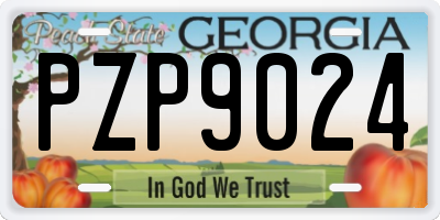 GA license plate PZP9024
