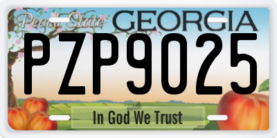 GA license plate PZP9025