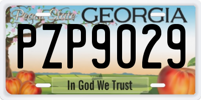 GA license plate PZP9029
