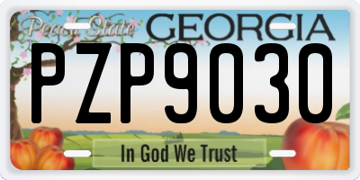 GA license plate PZP9030