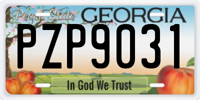GA license plate PZP9031