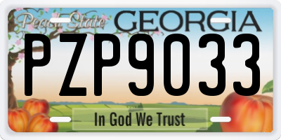 GA license plate PZP9033
