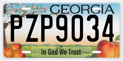 GA license plate PZP9034
