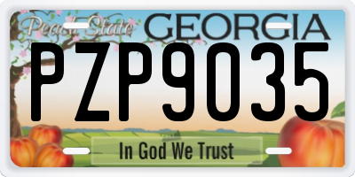 GA license plate PZP9035