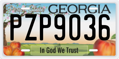 GA license plate PZP9036