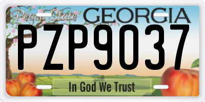GA license plate PZP9037