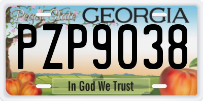 GA license plate PZP9038