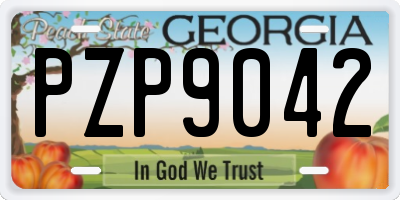 GA license plate PZP9042