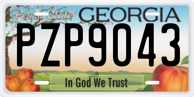 GA license plate PZP9043