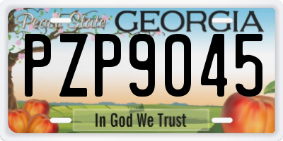 GA license plate PZP9045