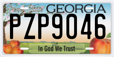 GA license plate PZP9046