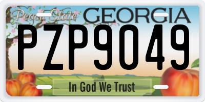GA license plate PZP9049