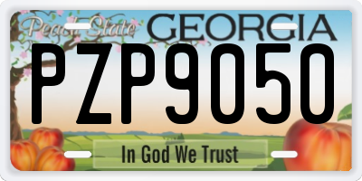 GA license plate PZP9050