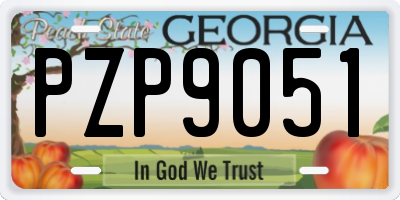 GA license plate PZP9051