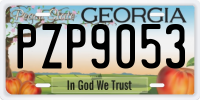 GA license plate PZP9053