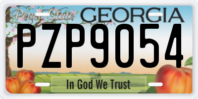 GA license plate PZP9054