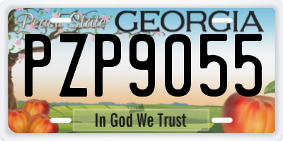 GA license plate PZP9055