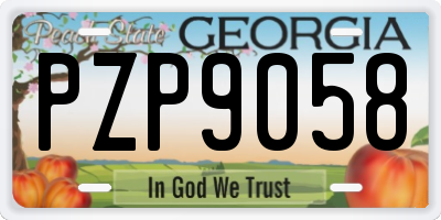GA license plate PZP9058