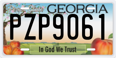 GA license plate PZP9061