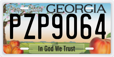 GA license plate PZP9064