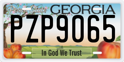 GA license plate PZP9065