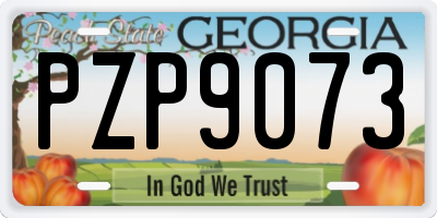 GA license plate PZP9073