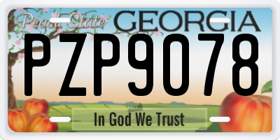 GA license plate PZP9078