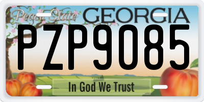 GA license plate PZP9085