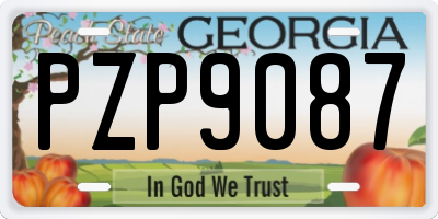 GA license plate PZP9087
