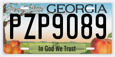 GA license plate PZP9089