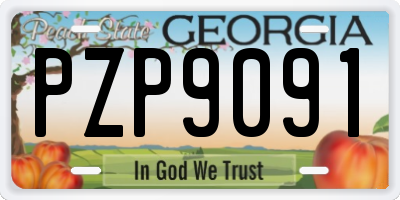 GA license plate PZP9091