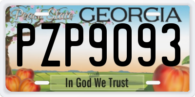 GA license plate PZP9093