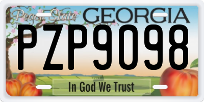 GA license plate PZP9098