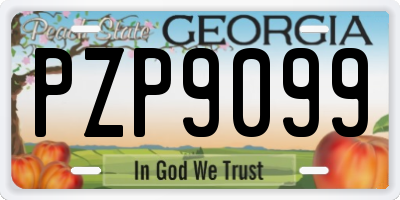 GA license plate PZP9099