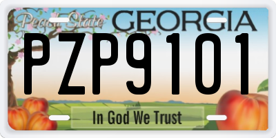 GA license plate PZP9101