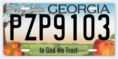 GA license plate PZP9103