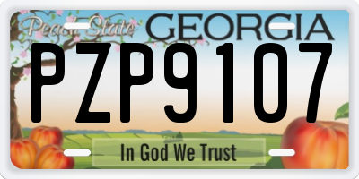 GA license plate PZP9107