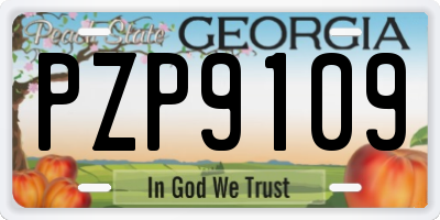 GA license plate PZP9109