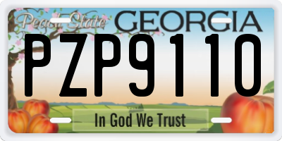 GA license plate PZP9110
