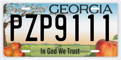 GA license plate PZP9111